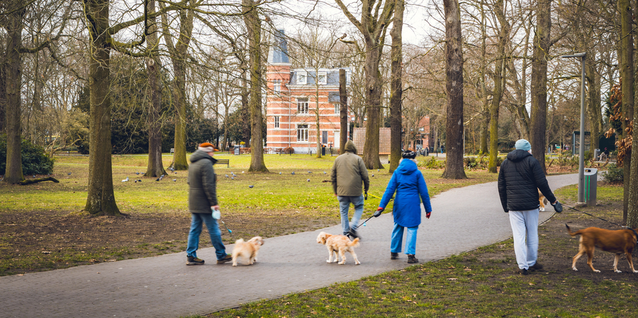 personen wandelen in het Gemeentepark personen wandelen in het Gemeentepark